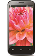 Best available price of Lava Iris 505 in Taiwan
