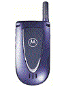 Best available price of Motorola V66i in Taiwan